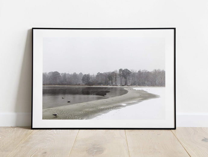 Fine art Print of Stover Country Park, Frozen Lake Photography, Devon Landscape Photography for Sale and Winter wall art Home Decor Gifts - SCoellPhotography